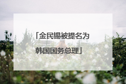 金民锡被提名为韩国国务总理